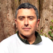 Pedro Magalhães